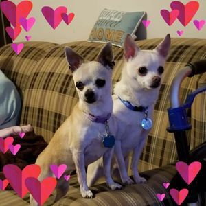 Meet your Posher, Cindy